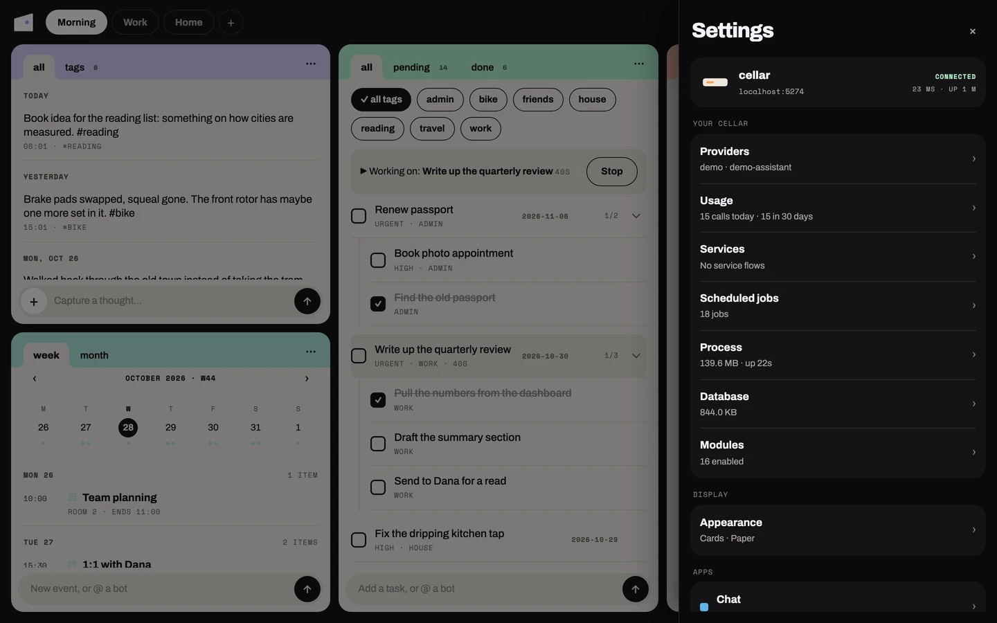 The Settings panel in the web app, where the cellar's status now lives: providers, usage, services, scheduled jobs, process, database and modules